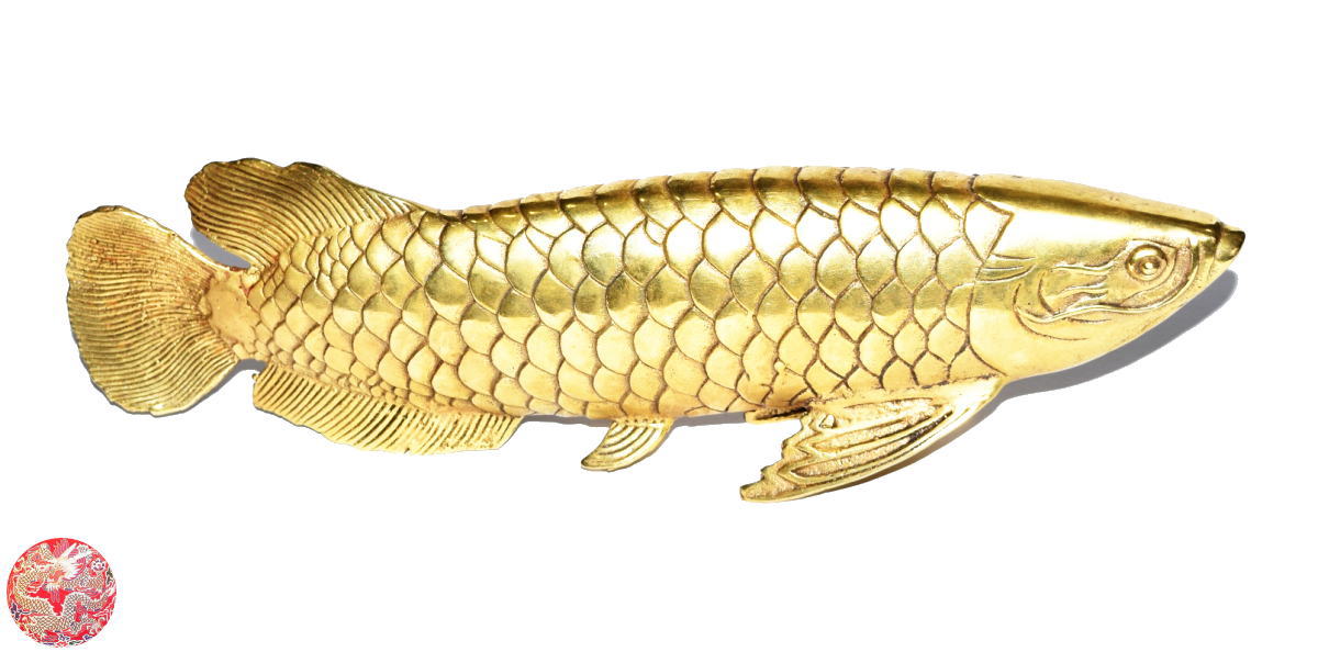 楽天市場】【送料無料】◇特典！開運水盃付き！◇≪金運≫風水の龍魚