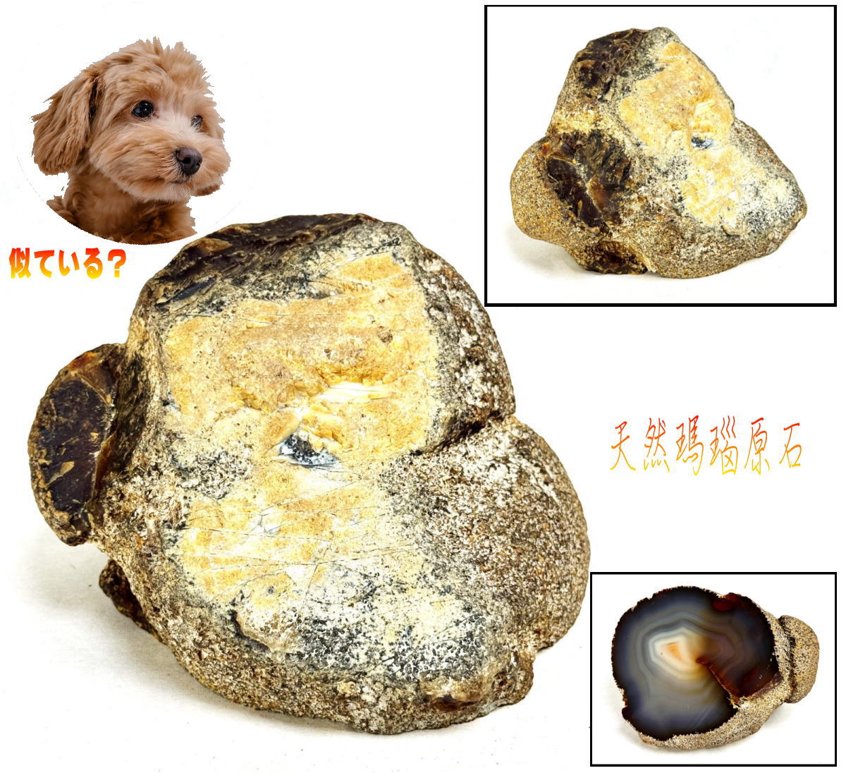 【送料無料】 天然瑪瑙犬頭原石 鑑賞石 唐木台 一点もの 置物 約4.9kg 観賞用 稀少 奇石 天然石 自然石 美石 原石 (旧家蔵出し） 威龍彩雲通販