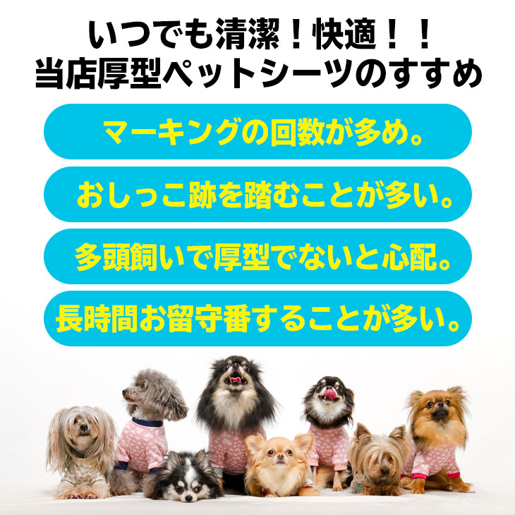 楽天市場 オータムsale プリント柄入り ペットシーツ レギュラー 400枚 ワイド 0枚 スーパーワイド100枚 厚型 ペット シート シーツ ペットシート ペット用 犬 猫 おしっこシーツ トイレ 1回 使い捨て フリーライフ