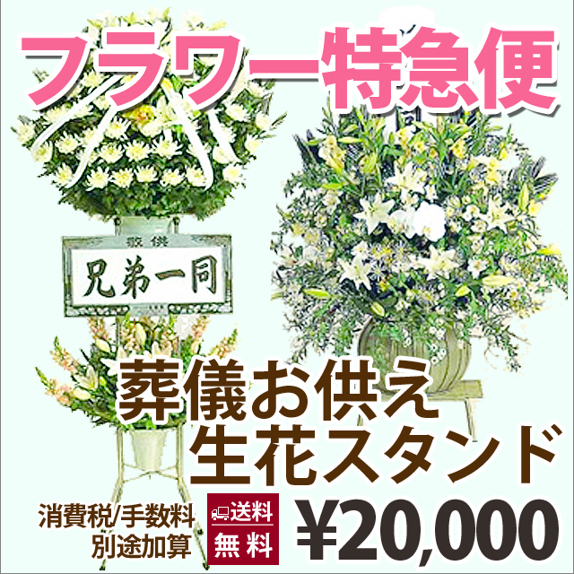 基礎花 当日お届け 今節着する 当日お届け 今日着く 御花特急郵書 当日まに合う Pm1時点までの受付け 2円型 お悔やみ活け花スタンド 100円 300円 500円 変更 Marchesoni Com Br