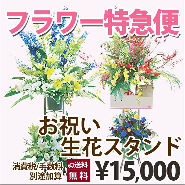 花 ギフト プレゼント バレンタイン ホワイトデー 特急便 お祝い生花スタンド 100円 300円 500円 お返し Badiacolombia Com