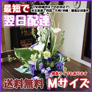 お花差し上げ物花樹有 ７つの楽になることお持て成し 花・観葉植物-花・ガーデン・DIY
