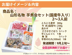 【送料無料】<山形名物秋の風物詩>芋煮会セット(とろとろ里芋と山形牛入り)2~3人前