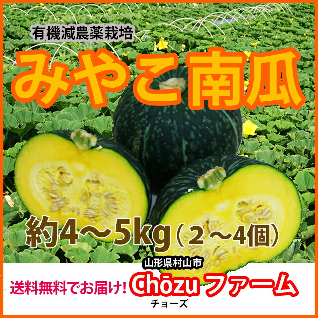 楽天市場 かぼちゃ カボチャ みやこかぼちゃ みやこ南瓜 通販 送料無料 5kg 国産 特徴 レシピ 栽培 旬 種 品種 有機 かぼちゃの種 北海道 苗 南瓜 農産物 カボチャ 生 ポイント消化 100円 300円 500円 花ギフト 山形産果物野菜 花樹有