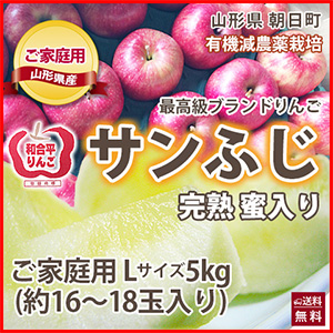 楽天市場】りんご フジ サンふじりんご 【 訳あり Sサイズ 5kg