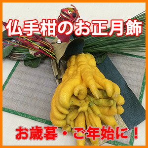 楽天市場】しめ飾り モダン おしゃれ しめ縄 【 仏手柑（ぶっしゅっか