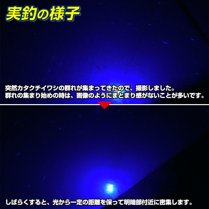 水中集魚灯 Led 集魚灯 夜釣り 夜焚き 集魚ライト 夜灯 イカ シラスウナギ タチウオ アジ ナイトタイラバ イカ釣り に効果的な ライト 照明 灯 60w 青 12v Smd 384発 6442ルーメン バッテリー点灯も可 Spotbuycenter Com