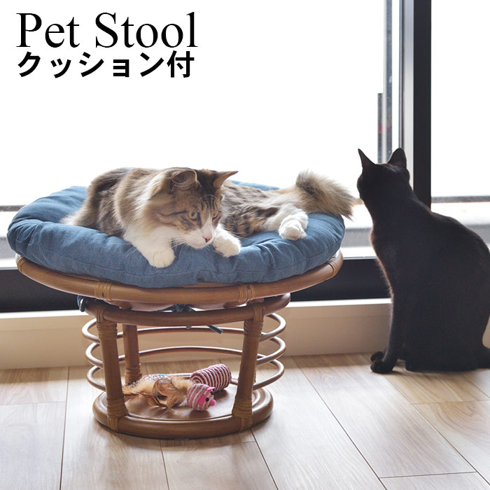 SALE／70%OFF】 ペットスツール ラタン クッション付き 木製 籐 スツール ペットベット 犬 猫 ペット 天然木 かわいい 収納 チェア  椅子 いす ゆったり おしゃれ リビング アニマル イヌ ネコ fucoa.cl