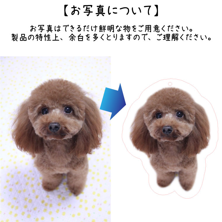ペットロスカプセルメモリアルカプセルSサイズキーホルダー写真プリントアクリルバッグチャームペット供養ペット仏具ペット仏壇覆い袋名札命日49日彼岸盆犬猫【メール便対応】