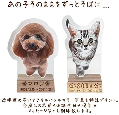 ペット位牌 アクリルパネル 名入れ オリジナル犬 フルカラー 写真プリント 猫 ペット供養 木製台座付き