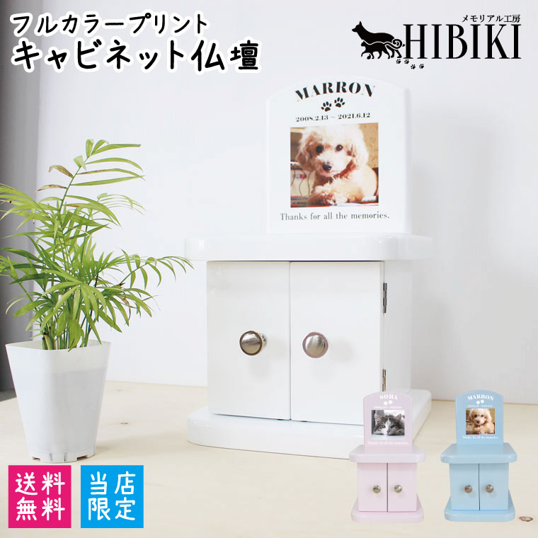 らっぱ仏壇 戸棚 盛りだくさん衿 映印す パステルカラー 仏壇鑿 4一毫までの骨壷納める ペット供養 メモリアル 綺麗 ミニ仏壇ペット使道 ペット仏具 手元供養 ペット供養 廻し者 にゃんにゃん 小形毛の荒物 かわいい Marchesoni Com Br