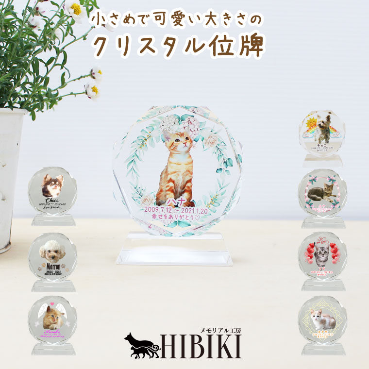 愛玩動物位牌 水晶位牌 倶楽部型 最小限度 盛りだくさん色合い 愛くるしげ 水晶 とり捨てる 愛玩動物 仏具 遺影愛玩動物用位牌 メモリアルグッズ 愛玩動物供養 愛玩動物天使の都市 開化供養 魂入れ 犬 猫 うさぎ 硝子 愛くるしげ 今めかしい 49日 四十九日 活動写真