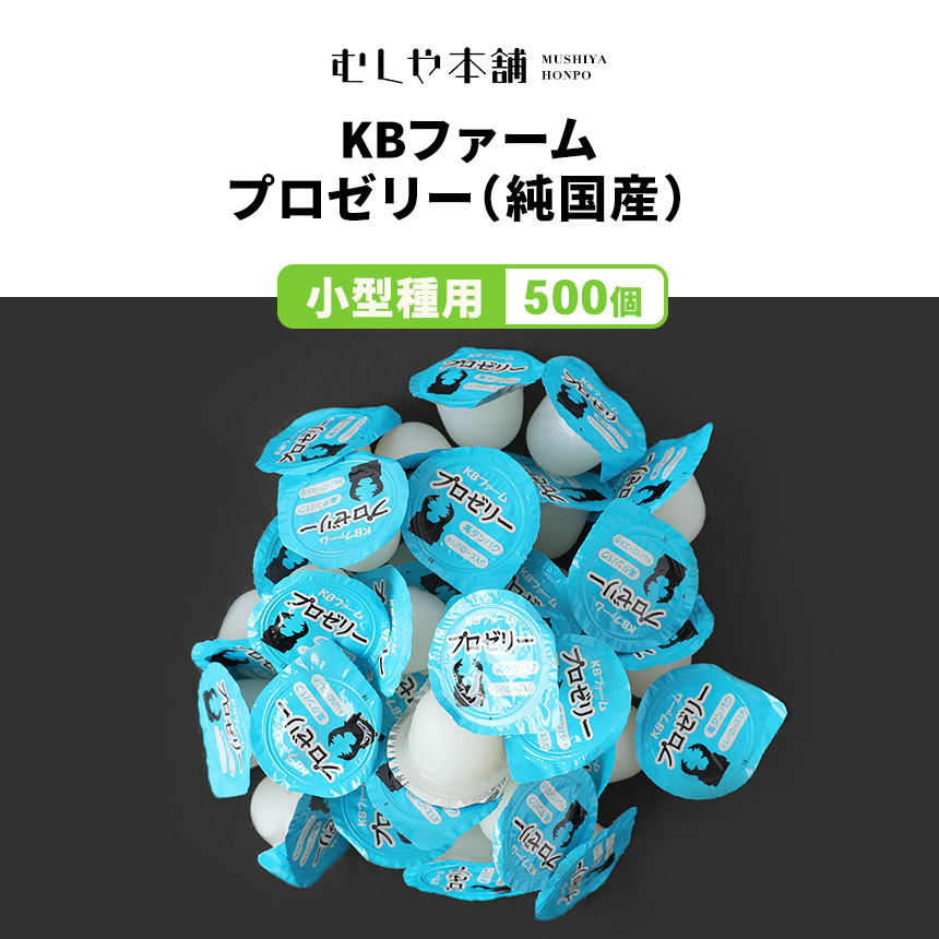 KBファーム 国産プロゼリー16g 60個 カブトムシ クワガタ 昆虫 - 昆虫