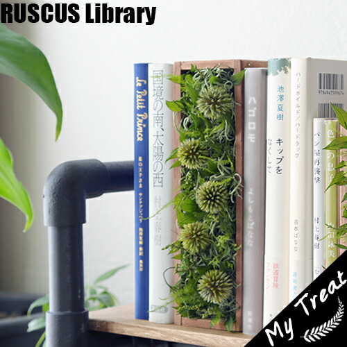 楽天市場 ラスカス ライブラリーl プリザーブドフラワー お祝い インダストリアル 本棚 ブックエンド 無料香り 光触媒加工 ギフト プレゼント 新築祝 お誕生日 花 男前インテリア 塩系インテリア ブルックリンスタイル 枯れない観葉植物 エバーグリーン プリザーブド