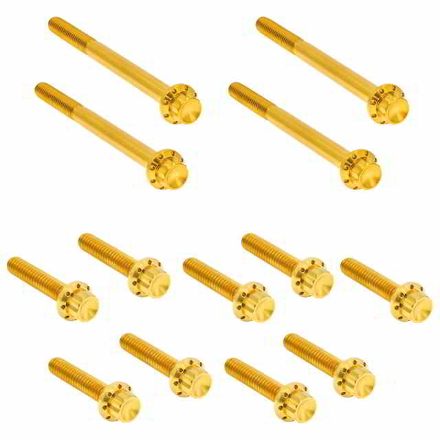 取寄せ アレンネス HARDWARE KIT TITANUIM 12PT PRIMARY COVER GOLD 300-931 DRAG 24011733