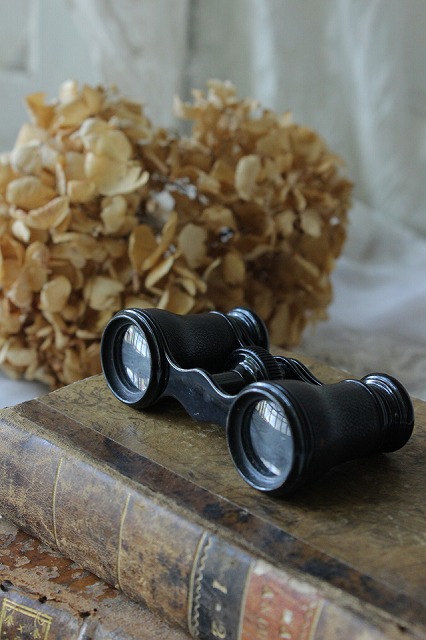 楽天市場】双眼鏡 ブラウン イギリス製 アンティーク : APOA