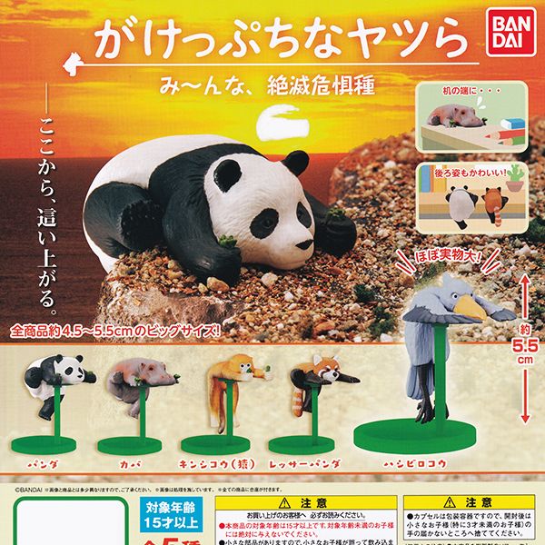 楽天市場 がけっぷちなヤツら み んな 絶滅危惧種 動物 アニマル かわいい グッズ フィギュア 模型 ガシャポン ガチャ バンダイ 全５種フルコンプセット 即納 数量限定 セール品 トレジャーマーケット