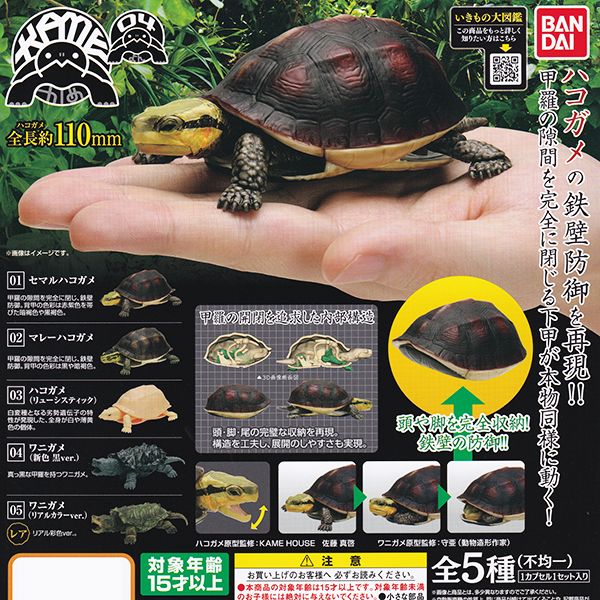 かめ 04 かめ シリーズ 第4弾 Kame フィギュア 亀 カメ 動物 模型 ガシャポン ガチャ バンダイ レアver 含む 全 種フルコンプセット 台紙おまけ付き 即納 数量限定 Kanal9tv Com