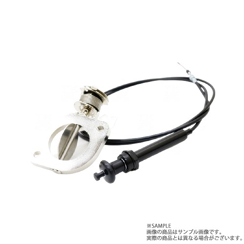 楽天市場】即納 APEXi アペックス ECV Φ51 フランジ汎用 エキゾースト