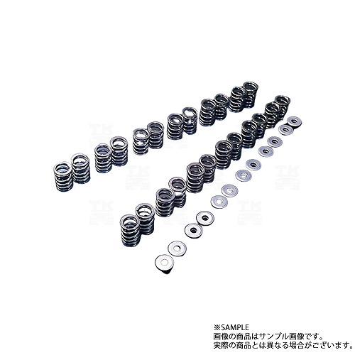 TOMEI 東名パワード バルブスプリング A15搭載車 163056 トラスト企画