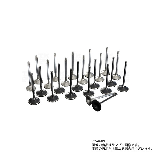 TOMEI 東名パワード オーバーサイズバルブ セット スカイライン GT-R BNR34 RB26DETT 163400 トラスト企画 ニッサン (612121484