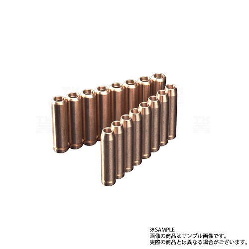 TOMEI 東名パワード バルブガイド セット ランサーエボリューション9 CT9A 4G63 163301 トラスト企画 ミツビシ (612121606