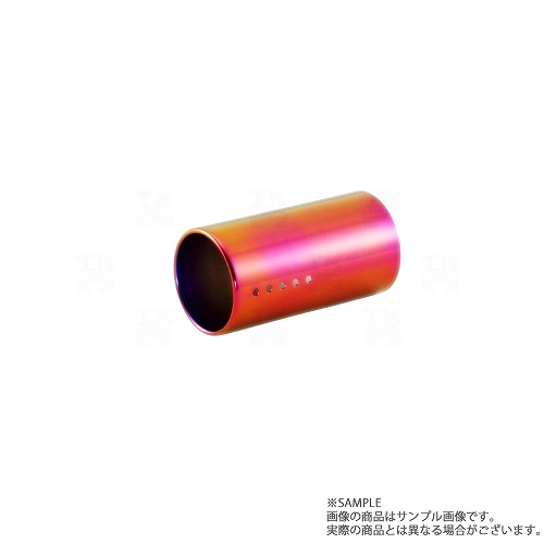 FUJITSUBO フジツボ チタニウム フィニッシャー 100φ ジューク YF15 AUTHORIZE S (350-11811)装着車 109-10023 トラスト企画 (759141117｜トラスト企画