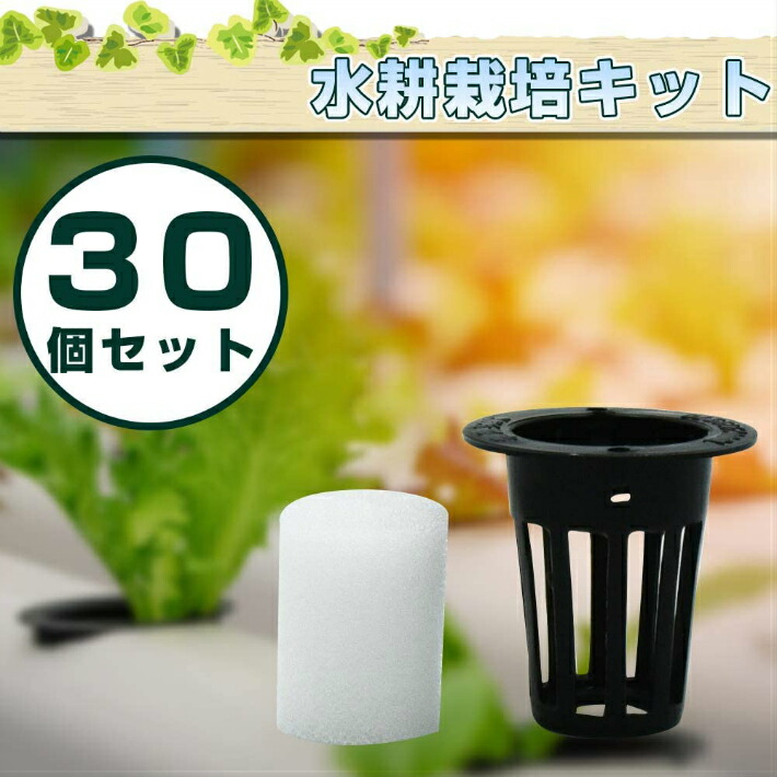 水耕栽培キット 定植かご メッシュポット 鉢 スポンジ セット 家庭菜園 (内径22mm ブラック 30個) 農業資材