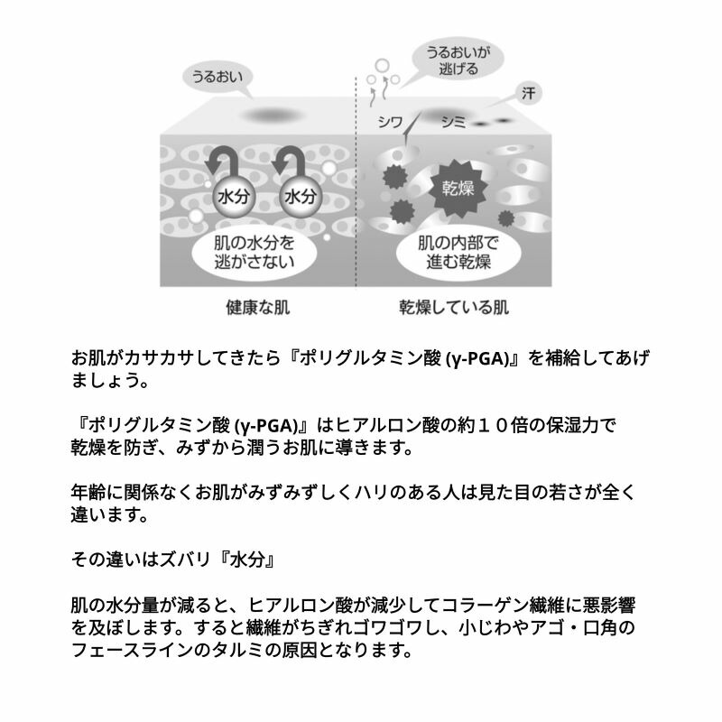交換無料 デルフェプラスgーｐｇａ５０００キャリア ５００ｍｌ 業務用美容液 保水力 保湿 潤い リフトアップ ｐｈバランス天然保湿因子 ｎｍｆ 毛穴 肌深部 浸透w 時間指定不可 E Compostela Gob Mx