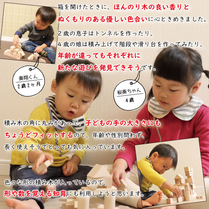ポイント10倍 日本製 積み木 50ピース 知育玩具 木製 積木 つみき 木のおもちゃ オモチャ パズル 女の子 男の子 子供 1歳 2歳 3歳 室内 遊び 自宅用 自分使い 誕生日プレゼント ギフト 国産 赤ちゃん おしゃれ 郡上八幡 あす楽 送料無料 Highsoftsistemas Com Br