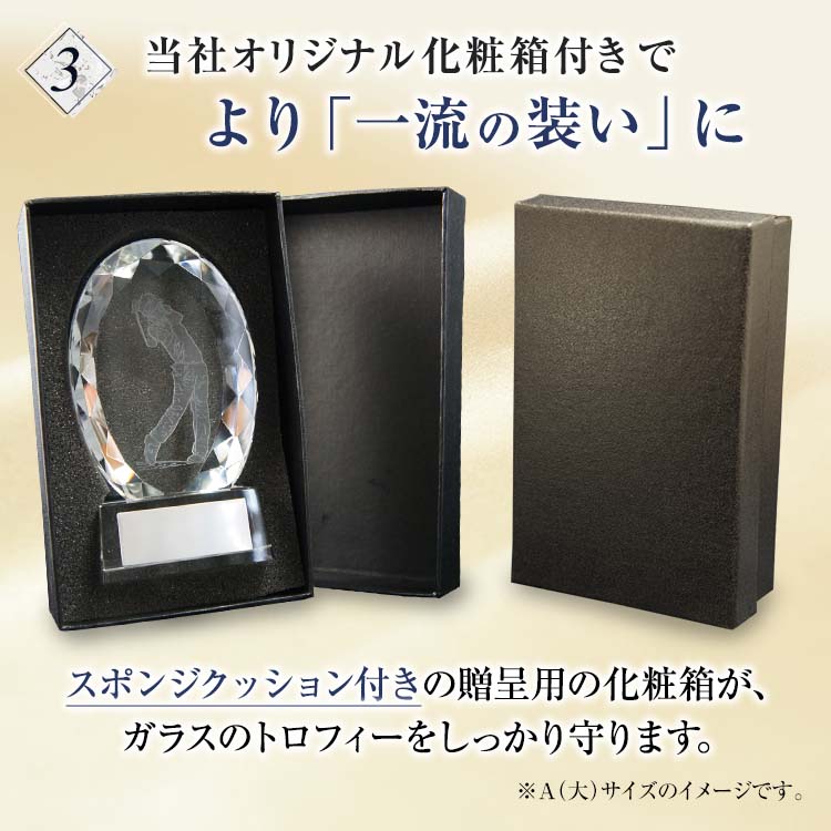 トロフィー ゴルフ 送料無料 30％OFF 文字無料 ガラス盾 B 中 高さ130ｍｍ ゴルフ トロフィー クリスタルトロフィー ホールインワン  記念品 ゴルフトロフィー ゴルフコンペ 景品 賞品 コンペ 名入れ 表彰盾 クリスタル ゴルフ景品 ゴルフ エイジシュート S-810-B 賞品 ...