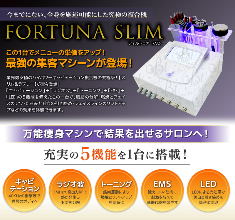 FORTUNA SLIM 業務用キャビテーション＋ラジオ波＋トーニング 40kHz エレクトロポレーション 中周波 自宅 セルライト マイクロ
