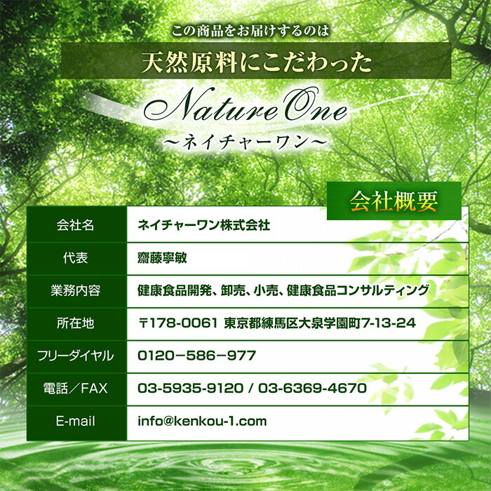 田七人参粉末(100g)天然ピュア原料そのまま健康食品/田七人参,でんしちにんじん,デンシチニンジン