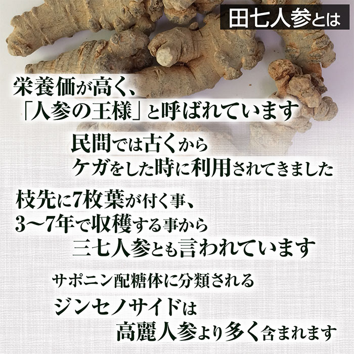 田七人参粉末(100g)天然ピュア原料そのまま健康食品/田七人参,でんしちにんじん,デンシチニンジン