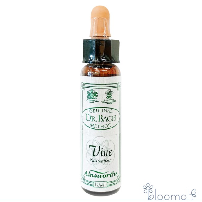 楽天市場】リカバリープラス Recovery Plus エインズワースレメディ