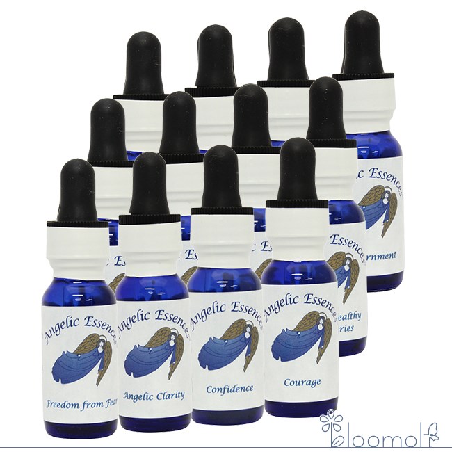 ヒーラーズキット 全12本 キット アンジェリックエッセンス ヒーラーズキット Angelic Healer's Kit