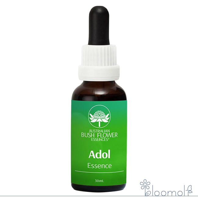 【予約品】ダイナミス『活力』　オーストラリアンブッシュ　フラワーエッセンス 楽天市場】【ブラックフライデー！最大2222円割引クーポン配布中