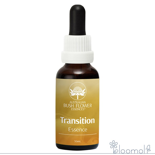 楽天市場】ケアラー（介護者）《オーストラリアンブッシュ