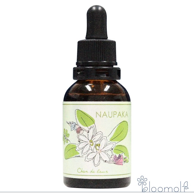 JK■レスキューレメディ6本10mlファイブ・フラワーヒーリングハーブス社 JK□レスキューレメディ6本10mlファイブ・フラワーヒーリング