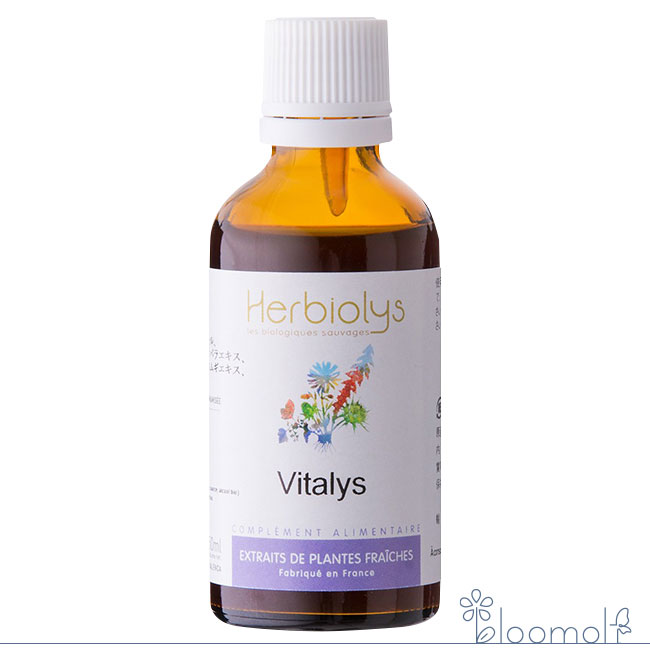 フラワーエッセンス ジェモセラピー ミックスジェモエッセンス ヴィタリス Vitalys