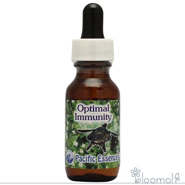 楽天市場】フラワーエッセンス パシフィックエッセンス シナジー