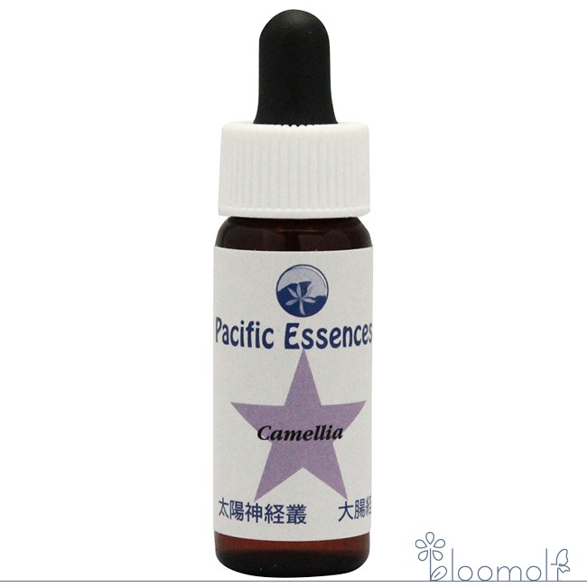 楽天市場】フラワーエッセンス パシフィックエッセンス シーエッセンス