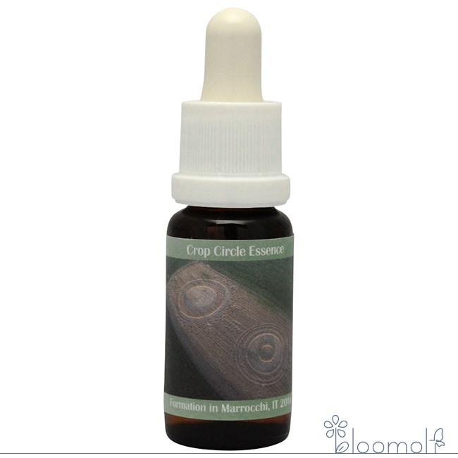 楽天市場】【お買い物マラソン最大2222円割引クーポン配布中】クロップ