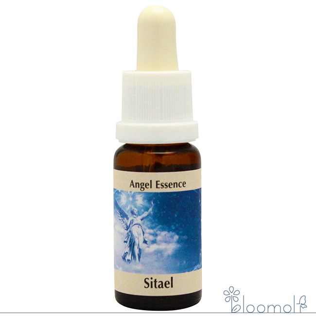 楽天市場】チル インディゴエッセンス コンビネーションエッセンス