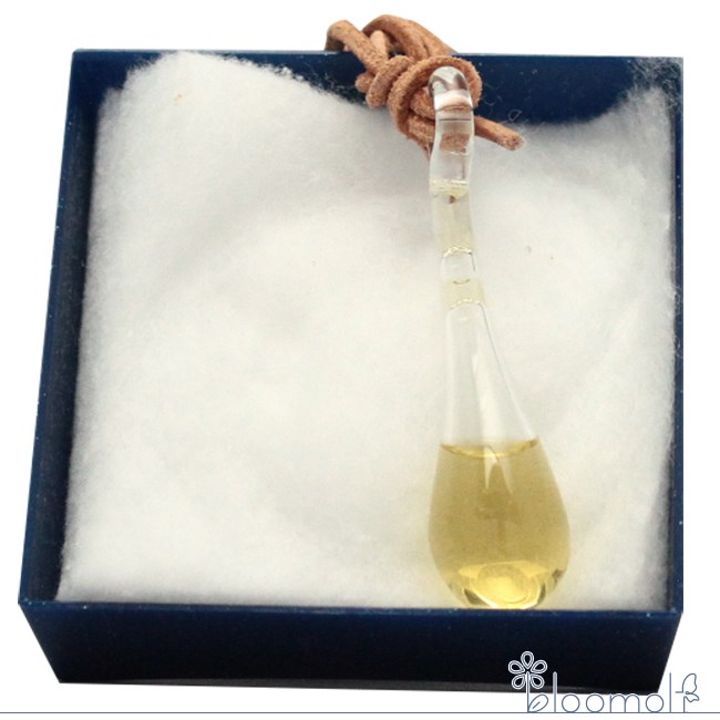 楽天市場】イルカ(デルフ)エッセンス入りペンダント(1コ入)【コルテPHI