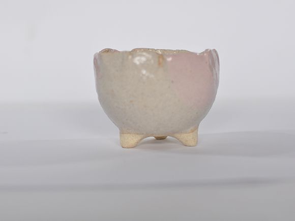 楽天市場】盆栽鉢 山野草鉢 信楽焼 幅 約 12cm 高さ 約 5.5cm 4号 鉄鉢