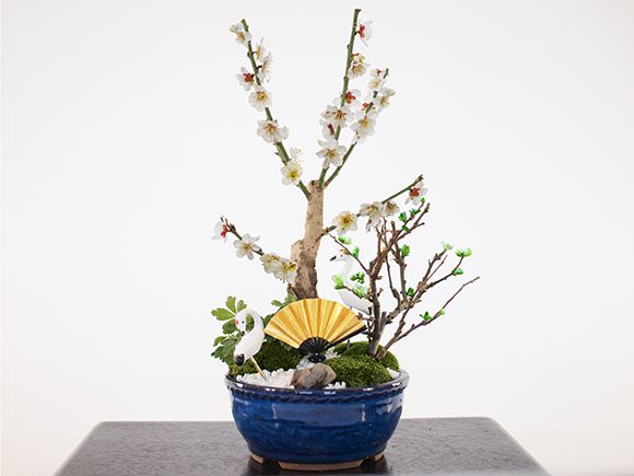 ＼最大10%OFFクーポン！7/25迄／梅づくし 寄せ植え 4号【盆栽 ミニ盆栽 鉢植】｜盆栽妙 店