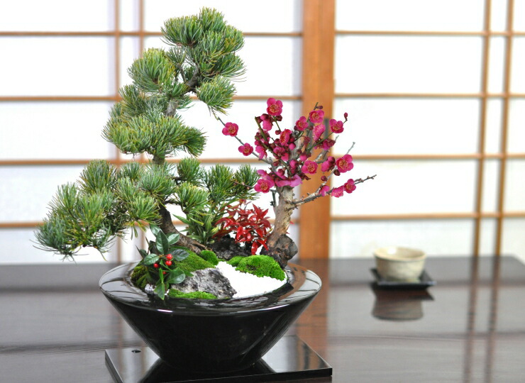 盆栽 モダン 松竹梅 受皿付き お正月 福 縁起物 植物 五葉松 梅 ぼんさい 正月飾り 寄植え 門松 梅盆栽 Prescriptionpillsonline Is