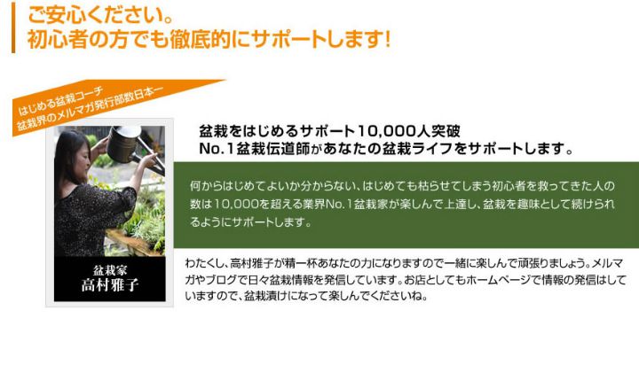 盆栽を作るキット 初級編 本格的に作る盆栽 自由研究 黒松の針金かけ 盆栽を趣味にしたい人は必見 盆栽を作るキット 入門編 くねくね黒松を作ろう 工作キット手作りキット 自由研究 自由工作 小学生 Mavipconstrutora Com Br 盆栽を作るキット 初級編 本格的に作る盆栽 自由研究 黒松の針金かけ 盆栽を趣味にしたい人は必見 盆栽を作るキット 入門編 くねくね黒松を作ろう 工作キット手作りキット 自由研究 自由工作 小学生 Mavipconstrutora Com Br