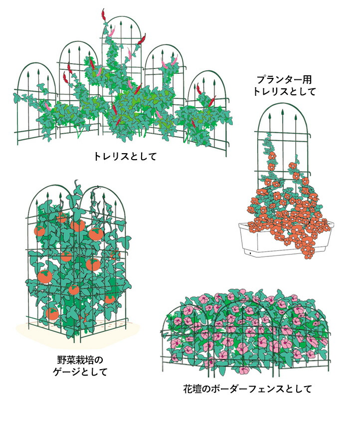 2021年新作 トレリスフェンスクラシックS 2P No.180 GREENGARDEN ガーデンフェンス アイアンフェンス 植物 ガーデニング用品  園芸用品 庭園 収穫 農業 緑 花 ガーデンファニチャー 小林金物 燕三条 whitesforracialequity.org